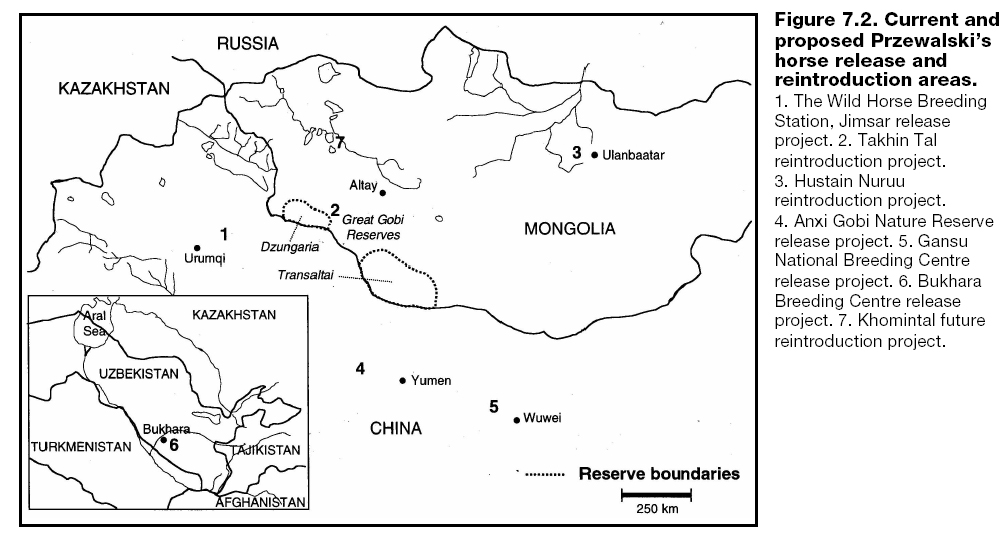 Status and Action Plan for the Przewalski’s Horse (Equus ferus przewalskii) Simon Wakefield, John Knowles, Waltraut Zimmermann and Machteld van Dierendonck 