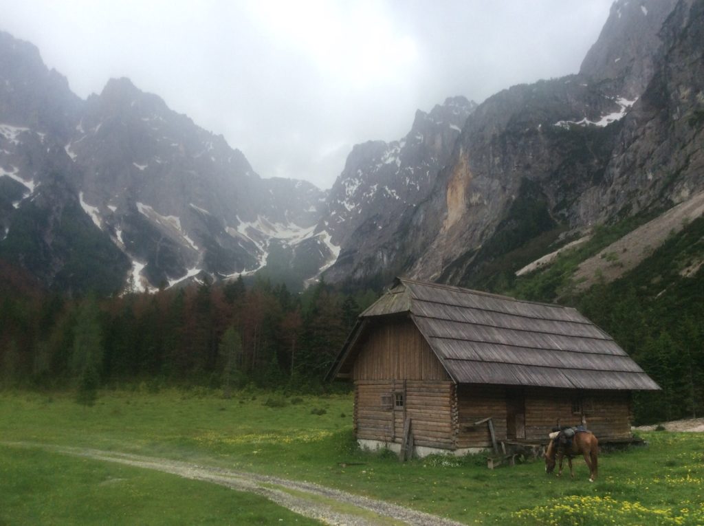 Solo montagne a forma di montagna, fiumi a forma di fiume e prati a forma di Prato. Caprioli, camosci e stambecchi. Il Triglavski Narodne Park...