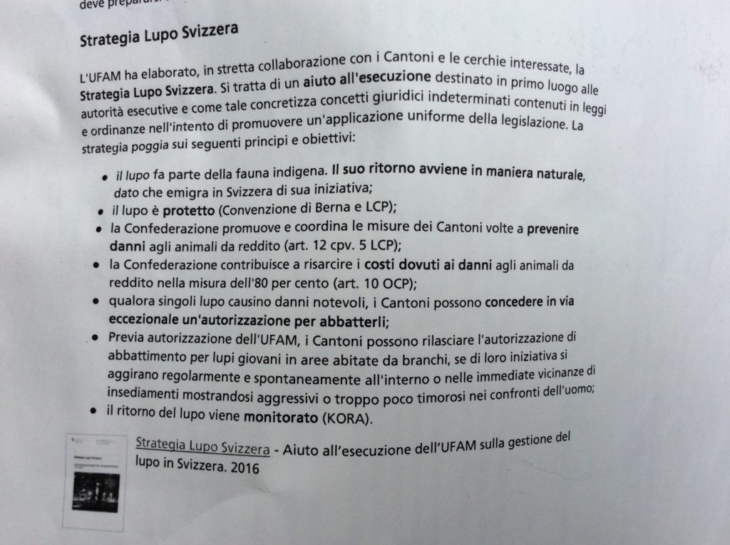 STRATEGIA LUPO SVIZZERA Singoli individui giungono continuamente nel nostro Paese; nel 2012 si è formato il primo branco. La Svizzera non pratica politica attiva di promozione del lupo. Con la Strategia Lupo Svizzera, l'UFAM vuole contenere al minimo i problemi che possono scaturire dalla loro presenza. -UFAM Ufficio Federale AMbiente-