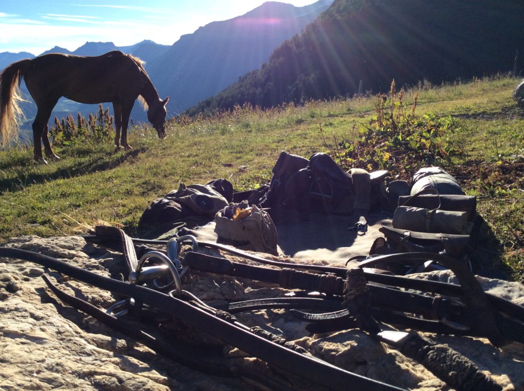 Granges Souffiet. Davanti la Vanoise. La sera arrivavano soffi di vento dal ghiacciaio, sapevano di neve e solitudini. È sempre difficile lasciare questi posti. Dovevo partire lo stesso. Alle dieci dovevo incontrare Gillles al colle del Moncenisio. La notte dopo ho dormito a Novalesa tra un muro e un capannone. Le stelle erano le stelle e splendevano.