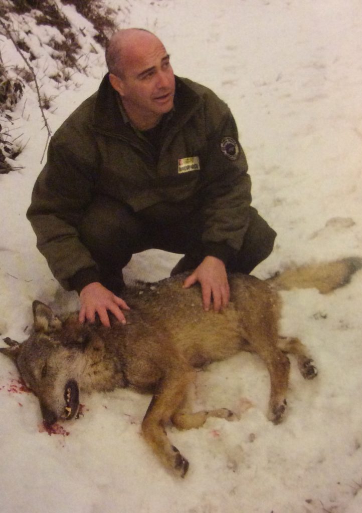 In questa foto si vede Luca così come è, tra le sue mani c'è un lupo ucciso dai bracconieri. È pubblicata sul calendario 2017 del Parco delle Alpi Cozie. Non sono stata capace di fargliene una che raccontasse così tante cose di lui e preferisco mostrarlo così.