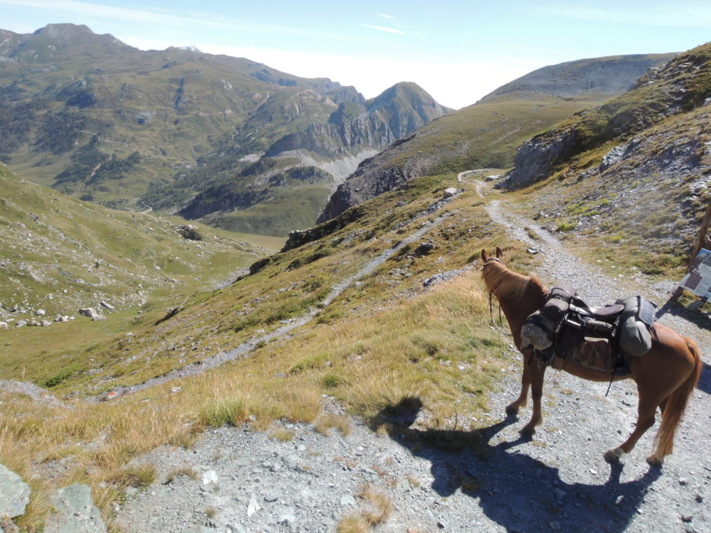 Alpe Valanghe dal colle del Mulo