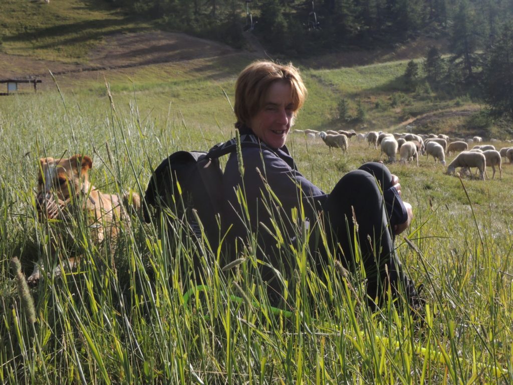 Carla Manzon con i cani che la aiutano a condurre il gregge.