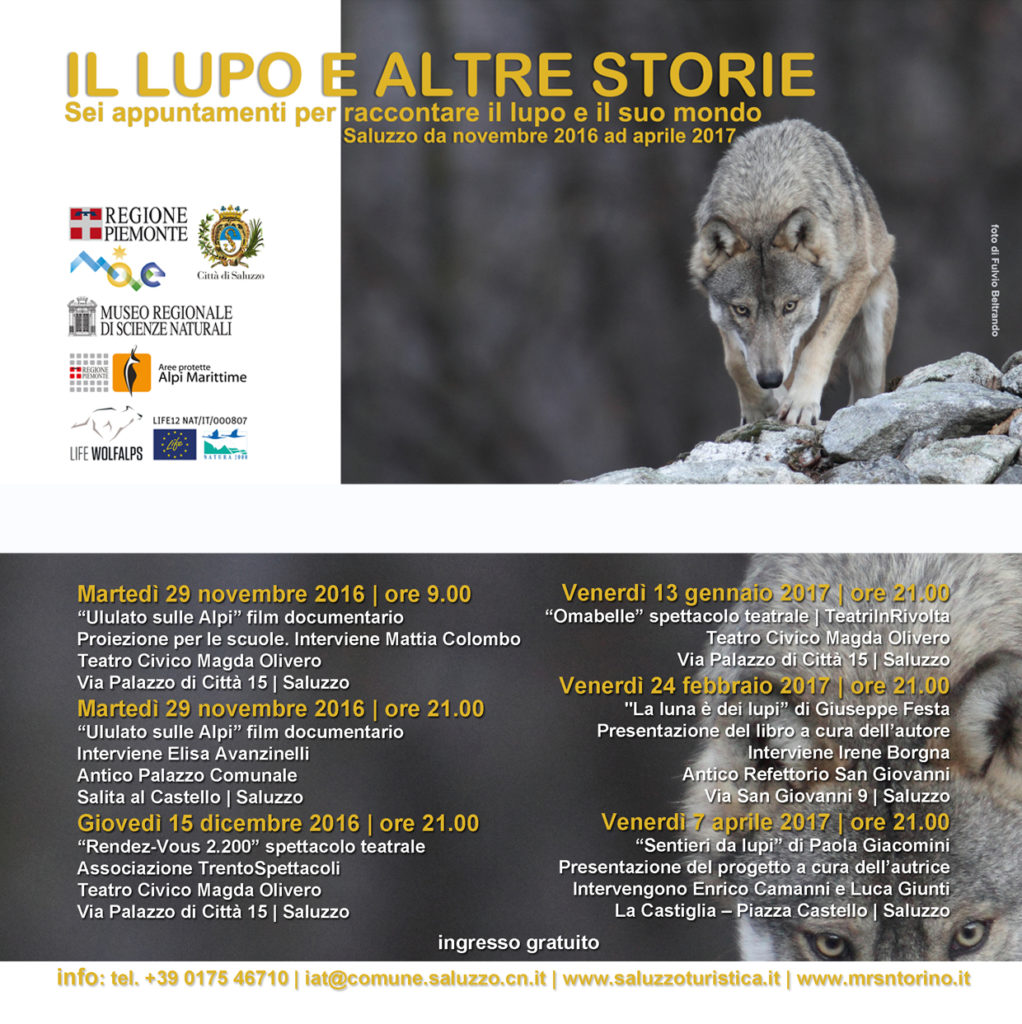 Il lupo e altre storie